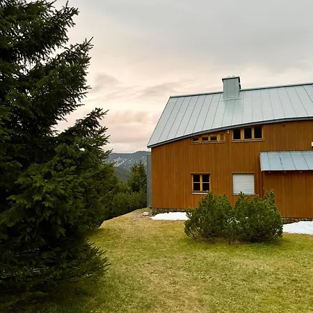 Close To The Clouds *